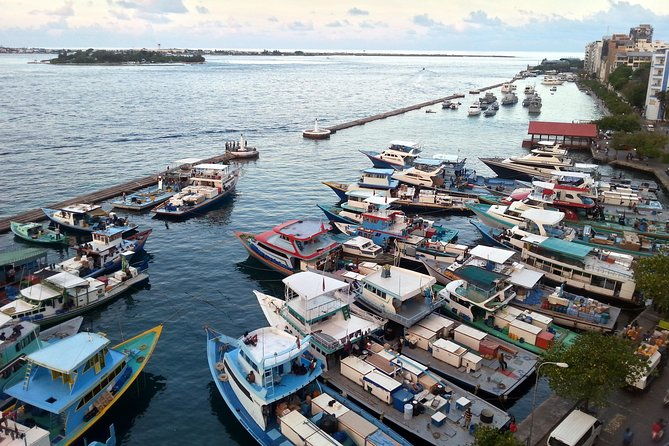 Full Day Male' Walking Tour - The Experience: From Historic Sites to Local Flavors