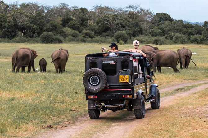 Full-Day Minneriya and Kaudulla National Parks Private Safari - Carefully Crafted Itinerary and What to Expect