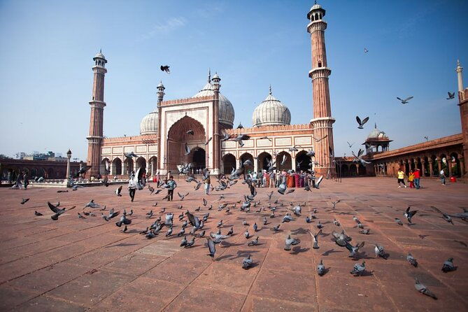 Full Day Old and New Delhi Private Tour with Guide - What Makes This Tour Stand Out