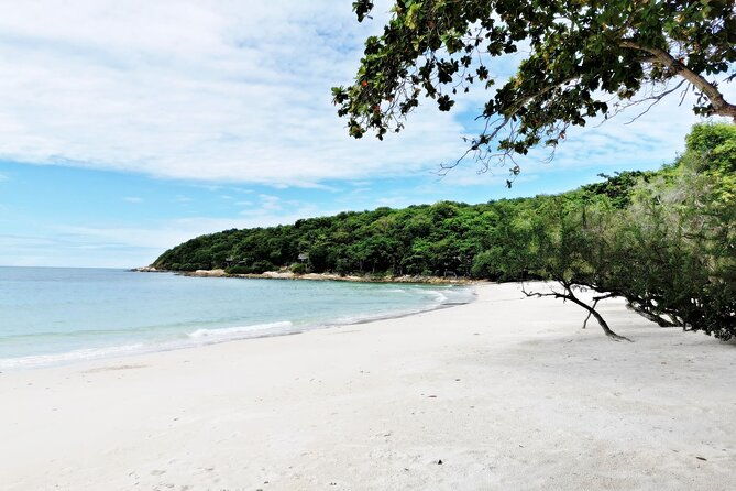 Full-Day on Koh Samet from Pattaya - Transportation and Group Size