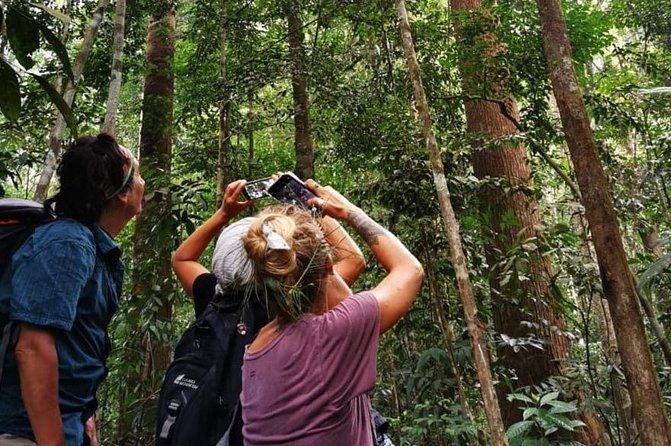 Full-Day Orangutans Adventure in Gunung Leuser - Analyzing the Cost & Experience Quality