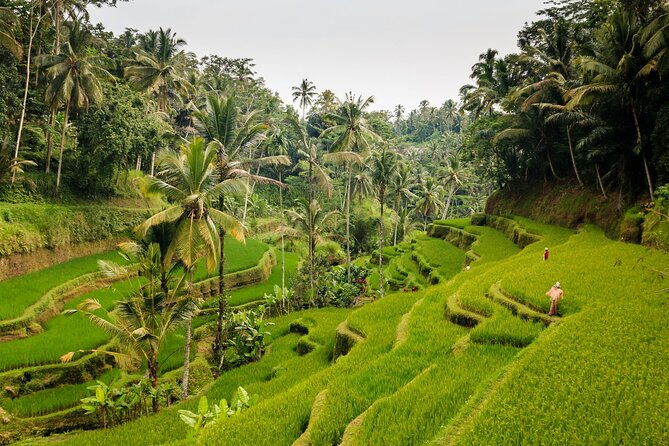 Full-Day Private Guided Exploring Bali as You Wish Tour - Practical Tips for Making the Most of Your Day