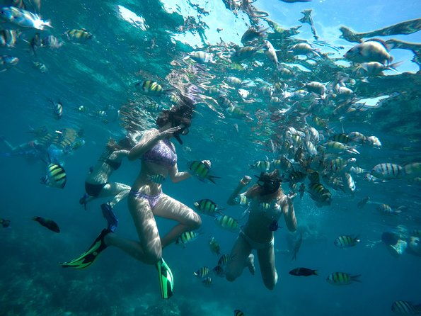 Full-Day Racha Noi and Racha Yai Snorkeling from Phuket - The Value for Money