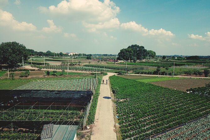 Full-Day Red River Bike Tour from Hanoi with Lunch and Pickup - Who Is This Tour Best For?