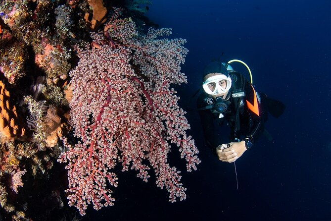 Full-Day Scuba Diving Experience of USAT Liberty in Tulamben - Who Will Love This Experience?
