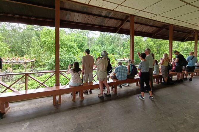 Full-Day Sepilok Orangutan and Sandakan City Trail from Kota Kinabalu - Practical Details and Tips