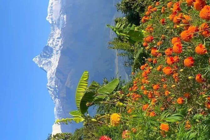 Full day Suspension Bridge, Boating, George, Sightseeing Tour - An In-Depth Look at the 3-Day Pokhara Tour