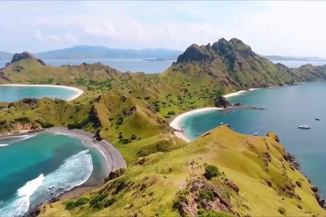 Full Day Tour to Komodo Island By Speed Boat to explore 6 destinations - What to Expect from the Tour
