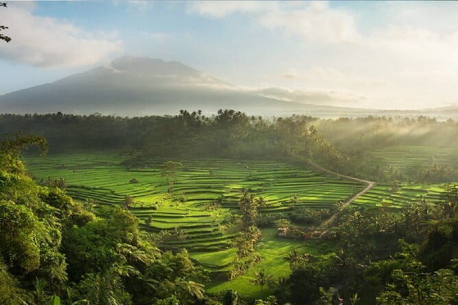 Full Day Tour to Water Temples UNESCO Rice Terraces in Bali - Additional Details That Add Value