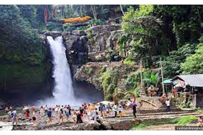 Full day Ubud and Tanah Lot tour - Considerations and Tips