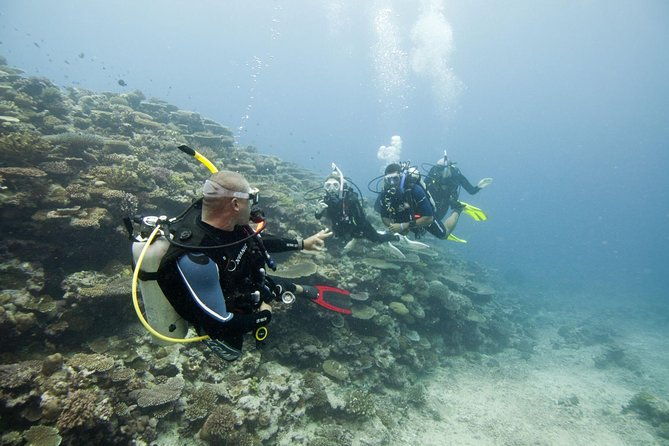 Fun Dives For Certified Divers - FAQs