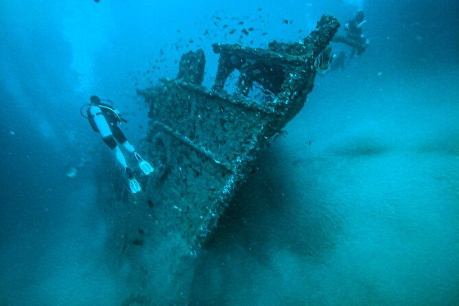 Fun Dives For Certified Divers - Inside the Dive Experience: What to Expect