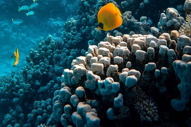 Fun Diving for Certified Divers at Phu Quoc Islands - The Importance of Equipment and Safety