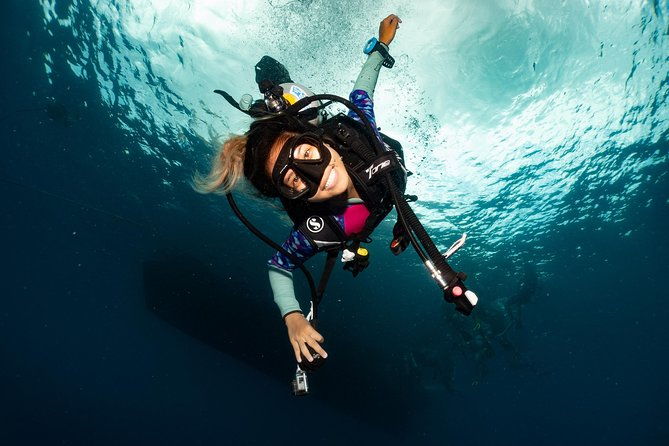 Fun Diving Packages (Certified Divers) - The Value of This Experience