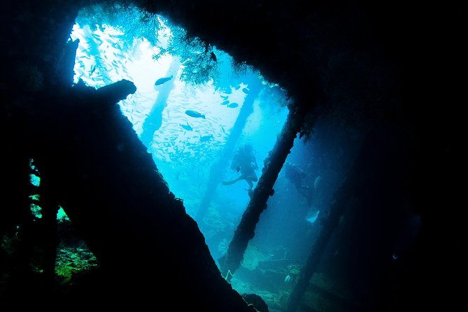 Fun Diving Tulamben Bali - For Certified Divers - The Itinerary: What to Expect on This Full-Day Bali Dive