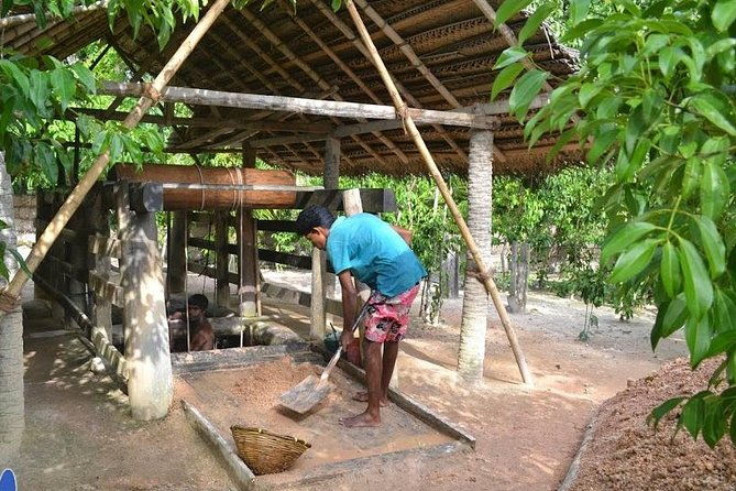 Galle Day Private Tour Beruwala/Bentota/Kosgoda/Ahungalla - Practical Details & Value  