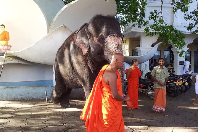 Galle Day Tour - An In-Depth Look at the Galle Day Tour
