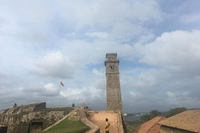 Galle Fort & boat safari & Turtles Day Trip - A Deep Dive into What You Can Expect