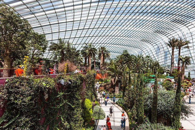 Garden by the Bay with two domes (Shared transfer) - Final Thoughts on Value and Suitability