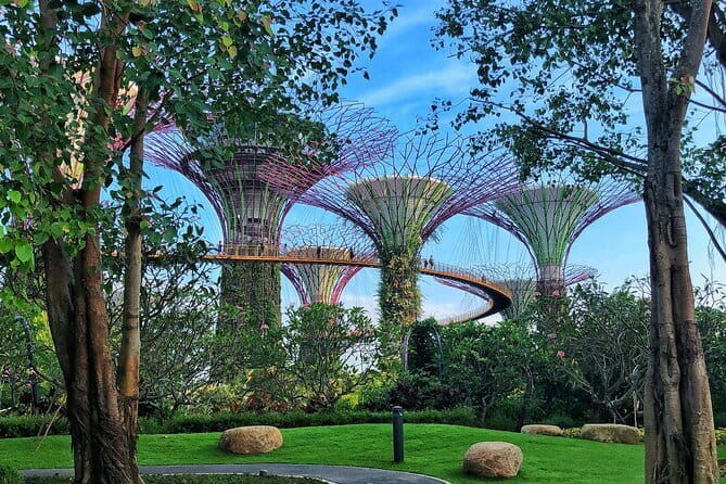 Gardens by the Bay Guided Tour - What to Expect from the Guided Experience