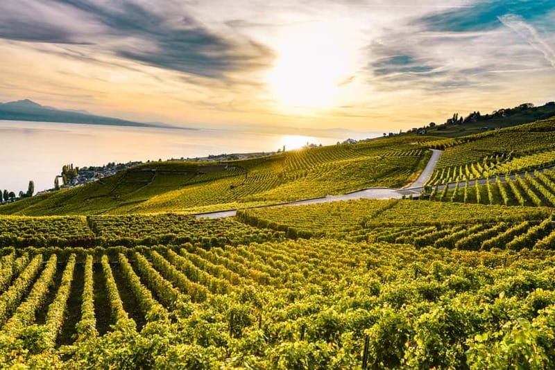 Geneva: Montreux, Chaplins World, Chillon Castle & Apéritif - Chaplin’s World: A Hollywood-Style Experience