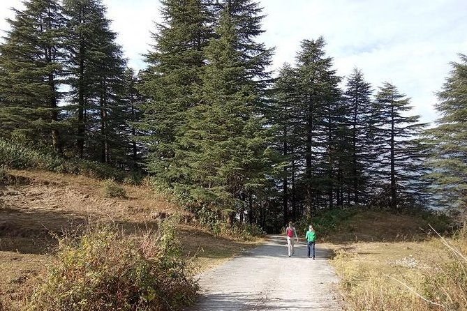 George Everest Nature Walk | Mussoorie - The Value and Practical Aspects