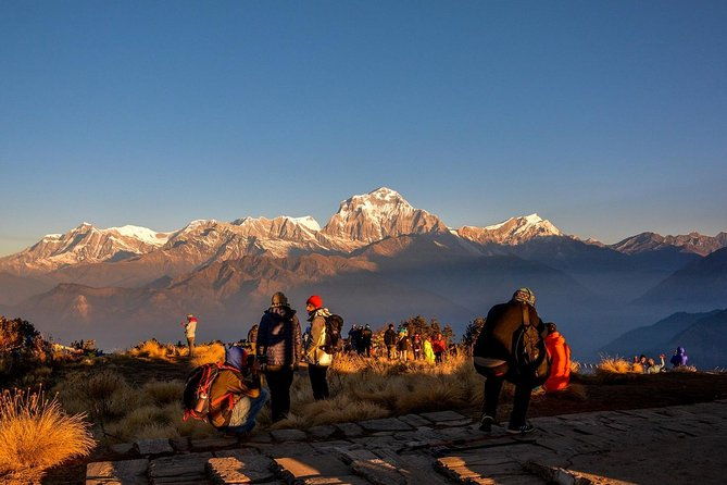 Ghorepani Poonhill Trek - The Practical Side: Transportation, Accommodation & Food