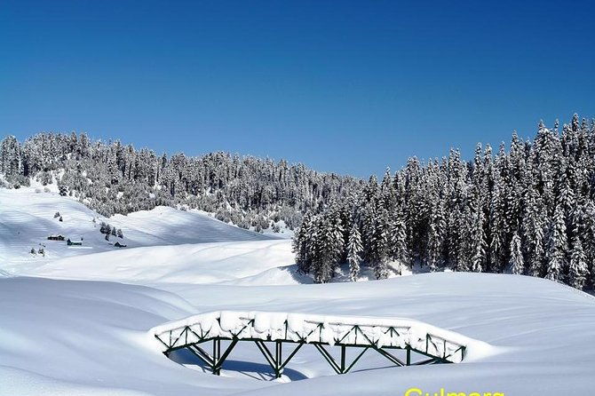Glimpse of Kashmir - Who Will Enjoy This Tour Most?