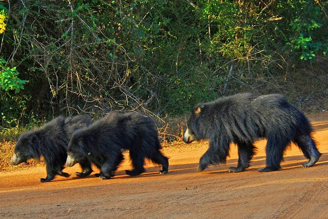 GO WILD! Double Safari Day Trip (Yala & Udawalawe) - Private & All Inclusive - What’s Included and What’s Not