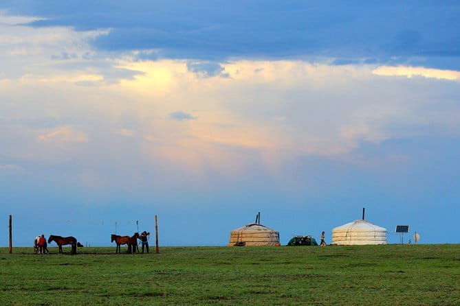 Gobi desert Mongolia for 8 days - Practical Details & Why They Matter