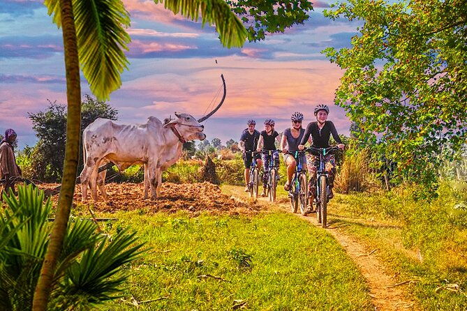Grand Tour-Ek Phnom. Baset. Bamboo Train. Wat Banan. Phnom Sampov - Transport and Comfort