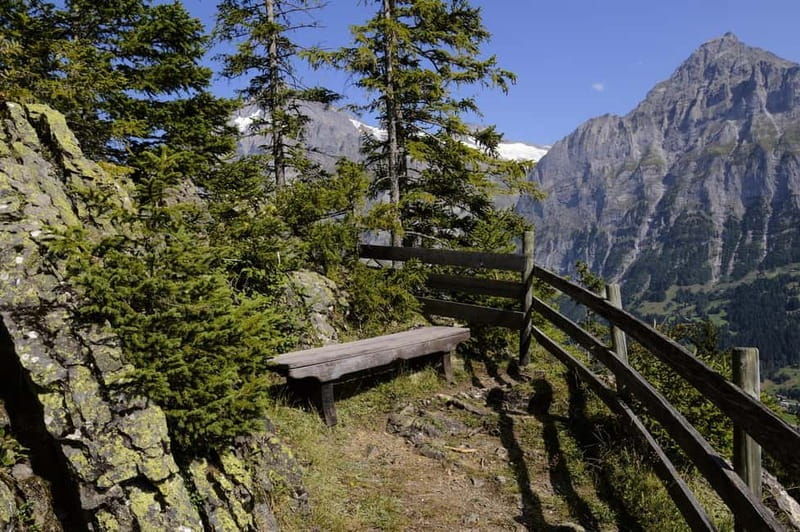 Grindelwald Private Walking tour - What Makes This Tour Stand Out?