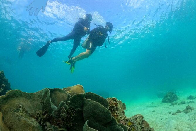 [GROUP] SCUBA DIVING For Beginners in Phu Quoc Island (TRY DIVE) - FAQs