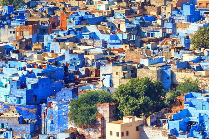 Guided Blue City - Jodhpur Walking Tour Experience with a local - Authentic Stories and Local Tips
