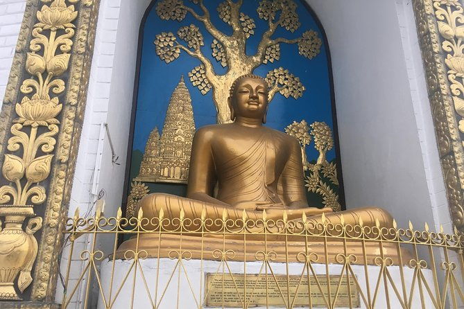 Guided Tour to explore the entire Pokhara City - Practical Details That Matter