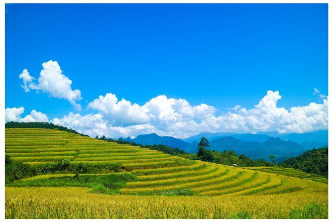 Ha Giang Loop 2D/1N Private Room + Free Stay Hotel 1N before tour - Analyzing the Itinerary in Detail