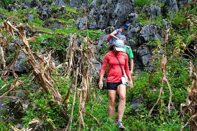 Ha Giang Motorbike Tour 4 days 3 nights - What Sets This Tour Apart