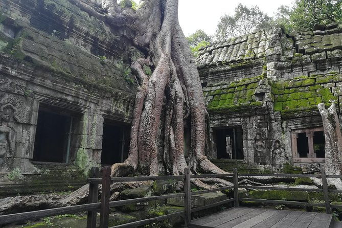 Half Day Angkor Wat Sunrise Private Tour - Why Travelers Love This Tour