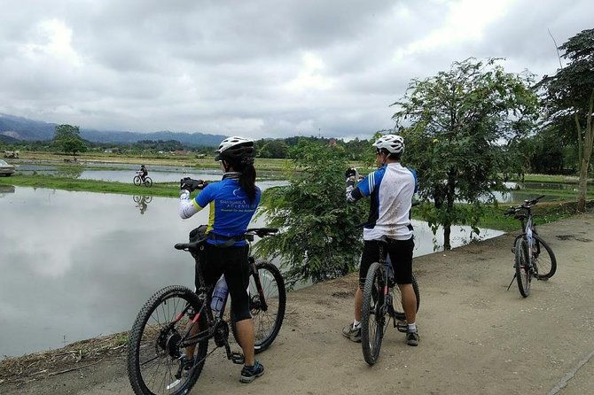 Half Day Cycling Tour to the White temple - What’s Included and What to Keep in Mind