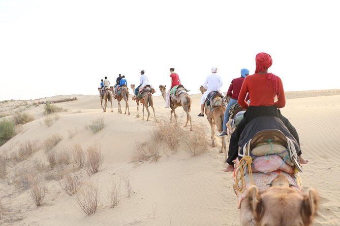 Half Day Desert Safari Jaisalmer - Who Would Benefit Most?