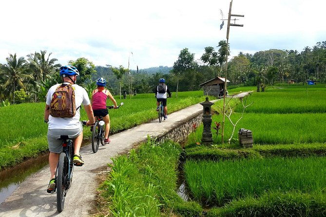 Half-Day Electric Cycling Tour of Ubud - The Value Proposition: Is It Worth the Price?