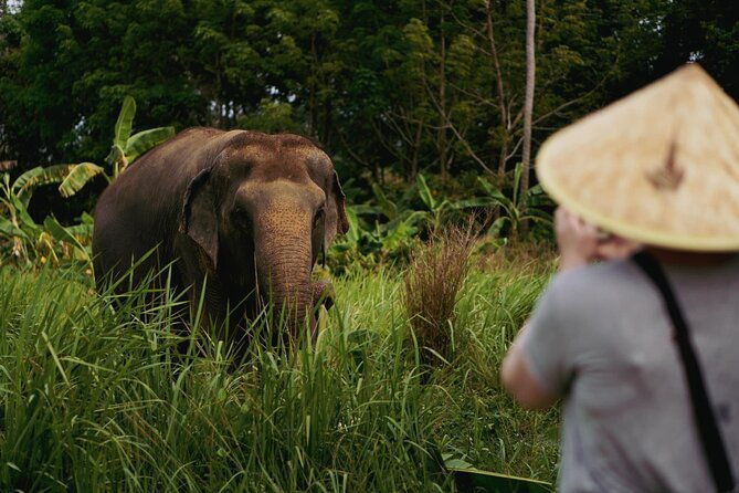 Half Day Elephant Home Sanctuary in Samui - Why This Tour Stands Out