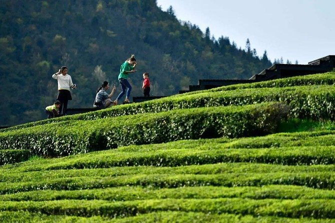 Half-Day Flexible Private Hangzhou Highlight Tour - The Experience: What Travelers Are Saying