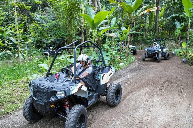 Half Day Jungle Buggies in Bali with Guide - Why This Tour Is a Great Choice