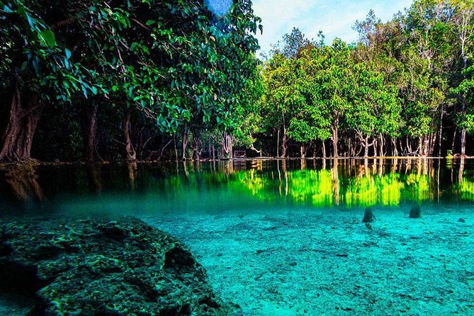 Half Day Jungle Tour to Emerald pool and Krabi Hot Spring - Value for Money