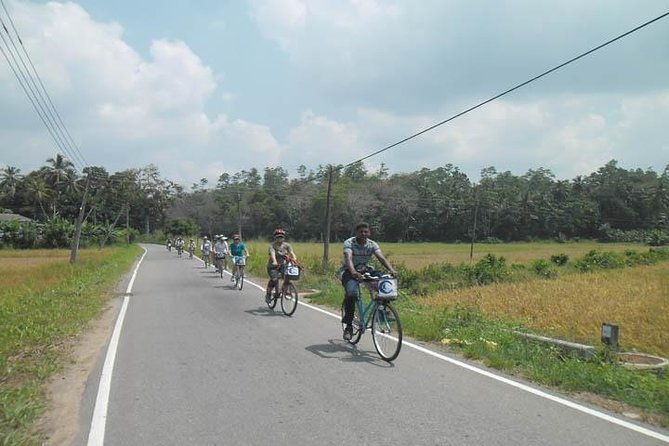 Half-Day Lagoon and Village Cycling Tour in Galle - Why This Tour Works for You