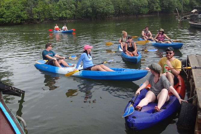 Half day Mangrove by Kayaking or Longtail boat from Koh Lanta - Who Will Love This Tour?