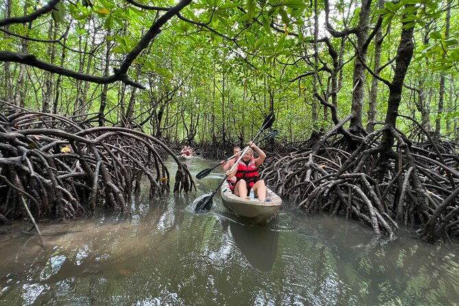 Half-Day Mangrove Kayaking in Langkawi - Setting Out at Kilim Geoforest Park