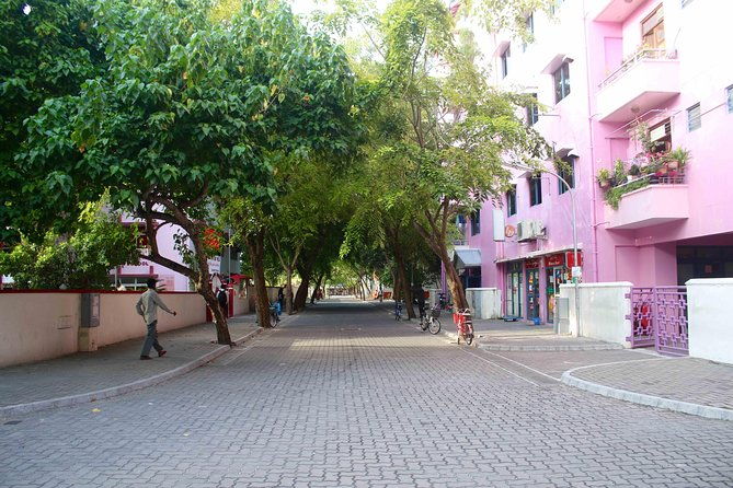 Half-Day Original Eco Tour to Villimale From Malé - Traditional Hedika and Beachside Snacks