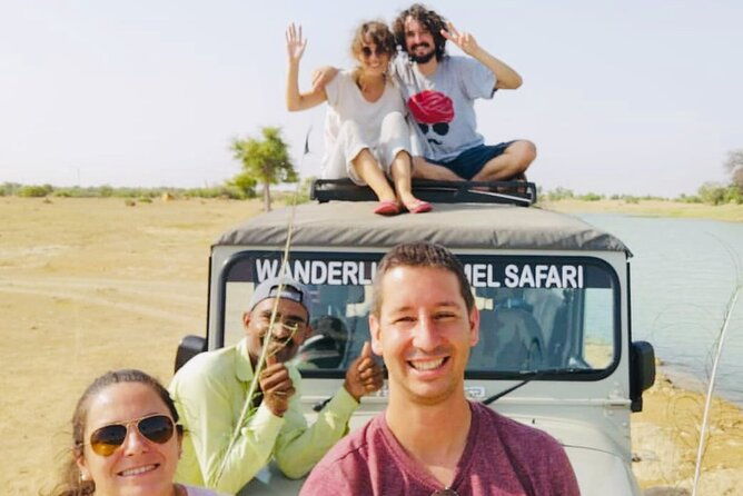Half Day Overnight Desert Tour sleeping under the star in open sky - What the Reviews Say